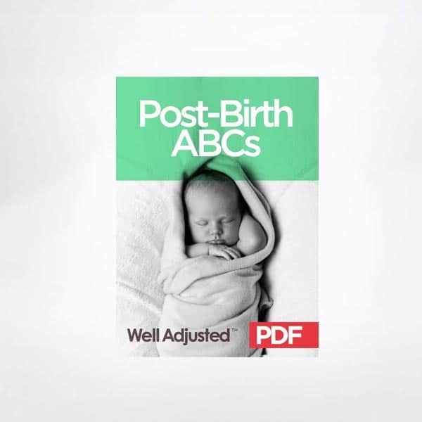 Post-Birth ABCs (eBook)