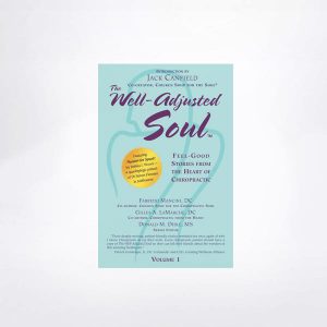 Well Adjusted Soul Book